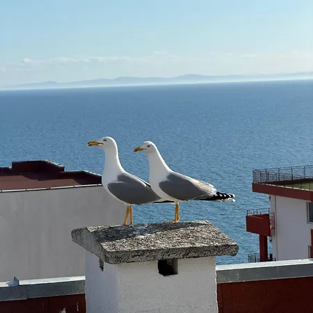 Noks Panorama Sas Sweti Wlas