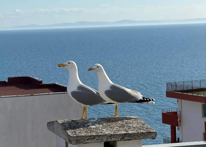 Noks Panorama Sas Sveti Vlas